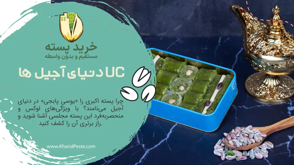 پسته اکبری UC پسته ها