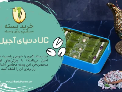 پسته اکبری UC پسته ها